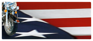 DNSEMP-L-332 Biker on US Flag